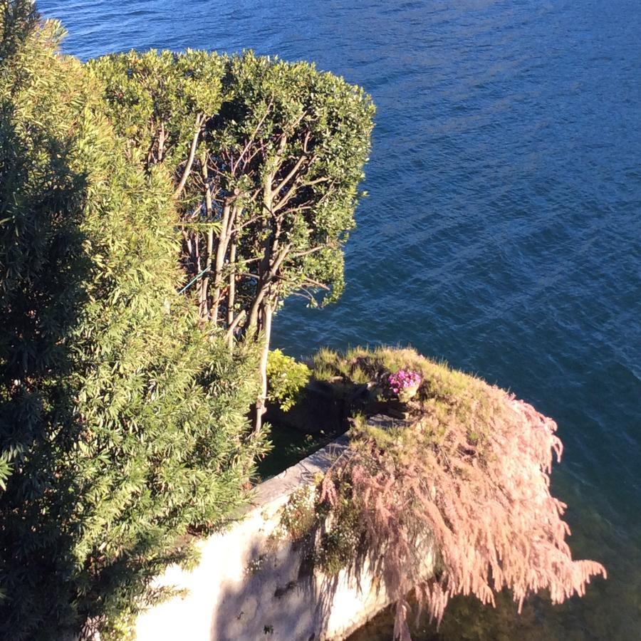 Mamma Ciccia Holiday Home - Confalonieri Mandello del Lario Bagian luar foto